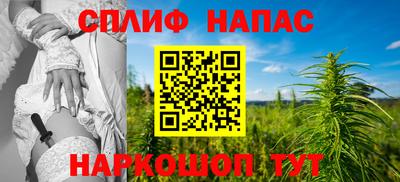 прущие грибы Пыть-Ях