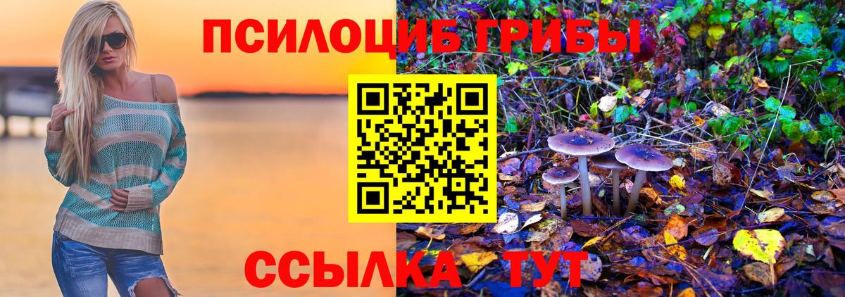 Алатырь  Псилоцибиновые грибы Psilocybine cubensis  Вход с VPN 